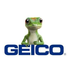 GEICO GEICO